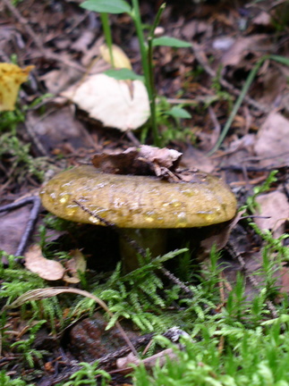 p1010567_001.jpg